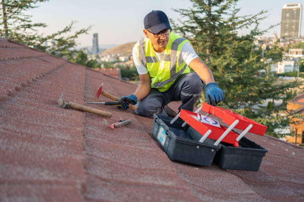 Best Fiber Cement Siding Installation  in Elkridge, MD